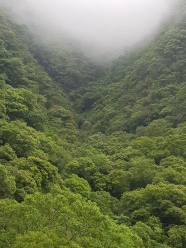 Serra do Rio do Rastro