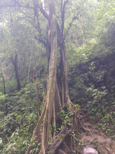 3-cachoeira-7