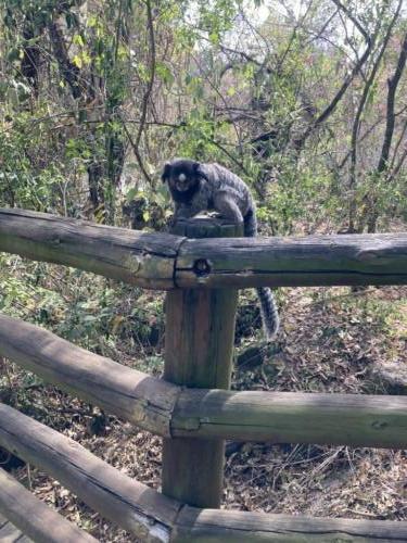 Parque do Salto - Salto/SP