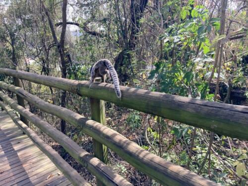 Parque do Salto - Salto/SP