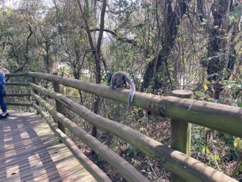 Parque do Salto - Salto/SP