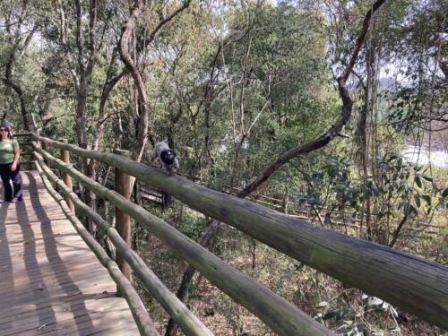 Parque do Salto - Salto/SP